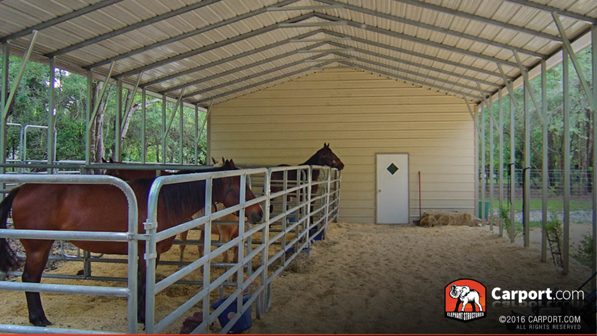 Horses in a custom gate installed under a metal shelter stable.